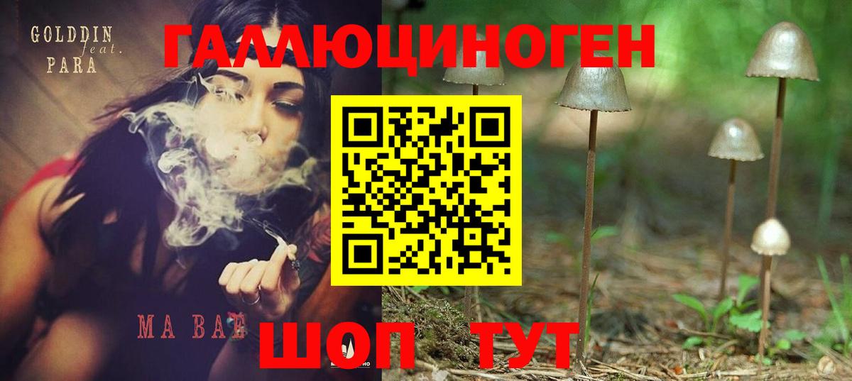Псилоцибиновые грибы Psilocybine cubensis  Вход с VPN  Псилоцибиновые грибы MAGIC MUSHROOMS  как найти   Владикавказ 