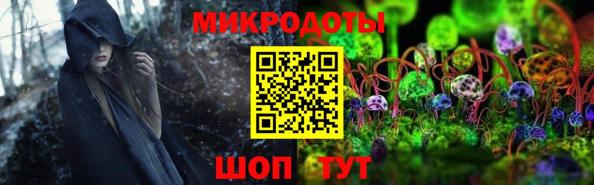 Галлюциногенные грибы ЛСД Владикавказ