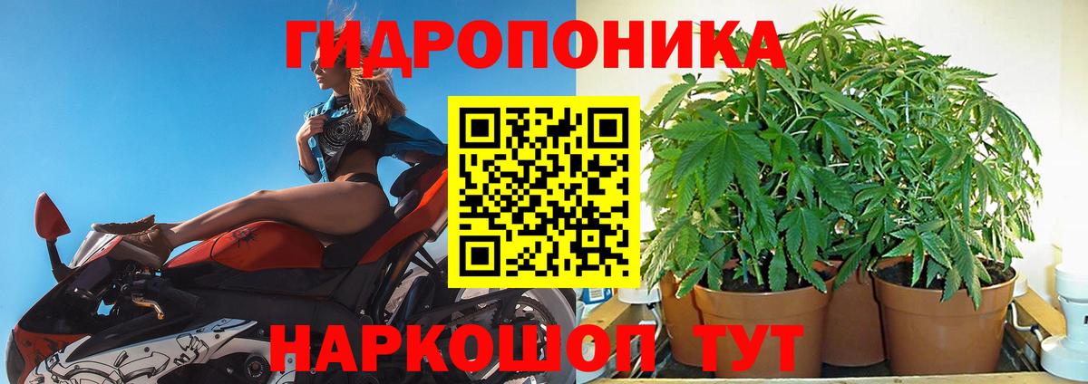 Каннабис индика Владикавказ